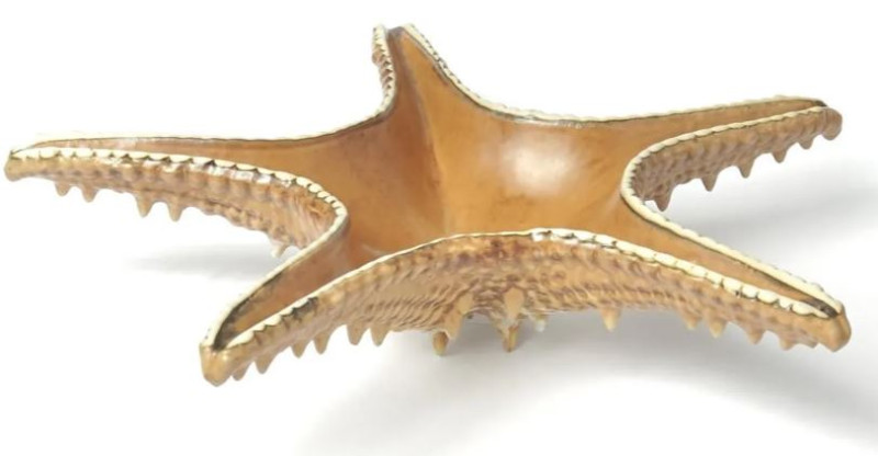 Блюдо 28 см, 100 мл, керамика "Frutti di Mare" P.L.