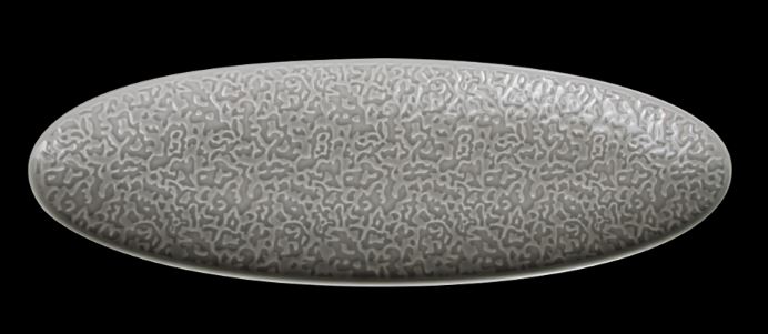 Блюдо овальное 14'' 356х114х21мм, серый "Corone Nori"