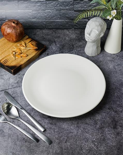 Тарелка без рима d 28 см BASIC Seasons