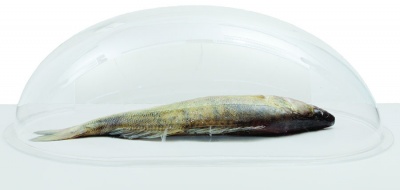 Крышка крепежная KT KT-S52