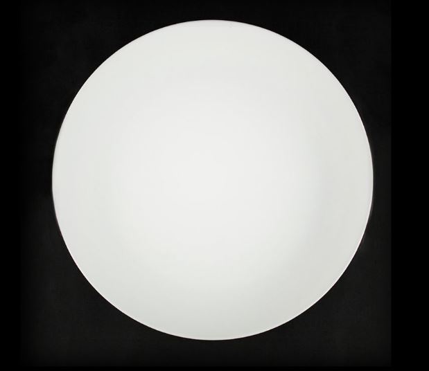 Тарелка без бортов 12'' 300мм[FP-12102]