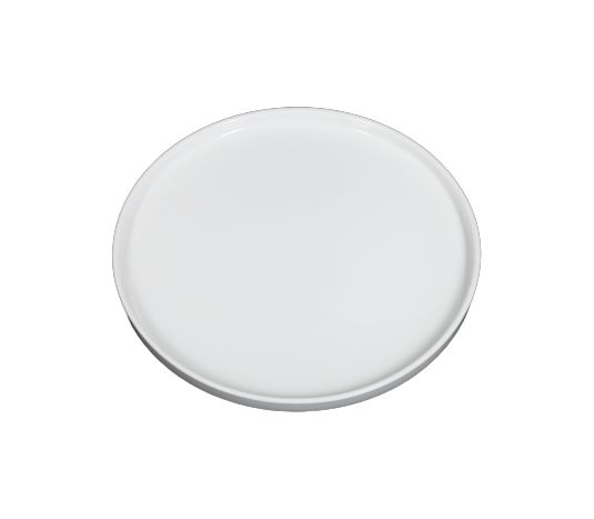 Тарелка плоская с вертикальным бортом, 25 см
