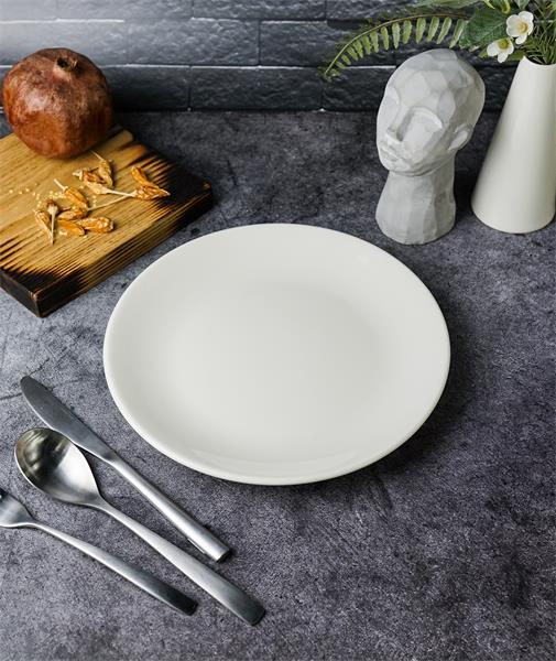 Тарелка без рима d 24 см BASIC Seasons