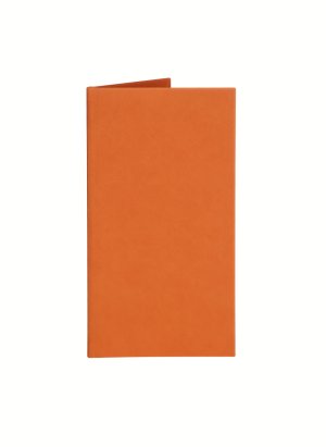 Папка-счет 220х120 мм Soft-touch, цвет:оранжевый